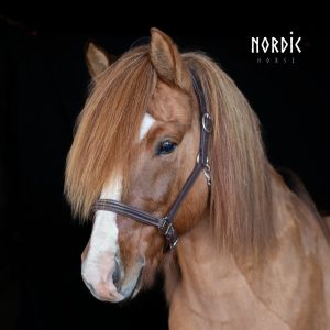 Nordic Horse Classic Lädergrimma Brun