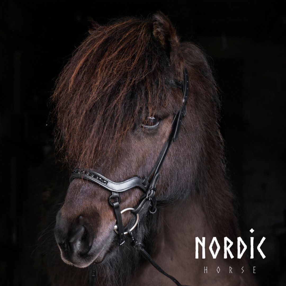 Nordic Horse Huvudlag All Black - Bild 5