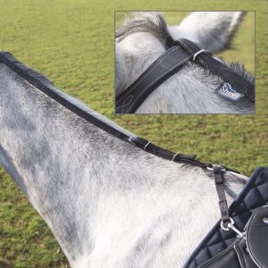 Shires Gräsätartygel Daisy Rein