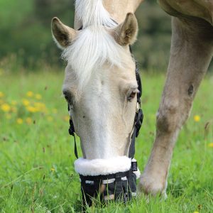 Shires Gräsreducerare Deluxe Comfort Grazing Muzzle