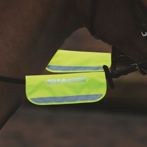 Shires Equi-Flector Tygelreflex Gul