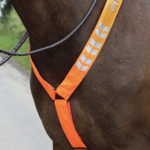 Shires Equi-Flector Brösta Reflex Orange